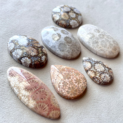 Fossil Coral Cabochon Smooth - Choose your Stone (W1)