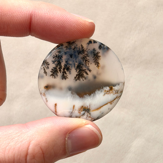 ‘Winter Canopy' Dendritic Opal Agate Round Cabochon - 33.5mm (W16)