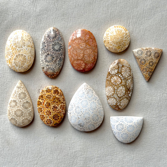 Fossilised Coral Cabochon Smooth - Choose your Stone (W17)