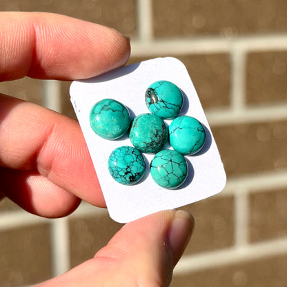 6pcs Green Hubei Turquoise round Cabochons Smooth - 9-10mm (FULL LOT) (W16)