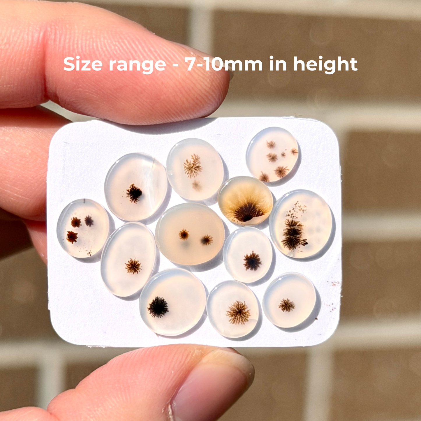 12pcs Scenic Agate round & oval Cabochons Smooth - 7-10mm (FULL LOT) (W16)