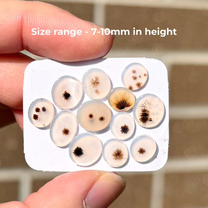 12pcs Scenic Agate round & oval Cabochons Smooth - 7-10mm (FULL LOT) (W16)