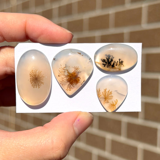 20-30mm Scenic Dendritic Agate Cabochon Smooth - Choose your Stone (W14)