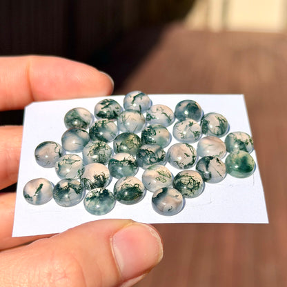 8mm Green Moss Agate Cabochons Round, Smooth - Set of 3 (W8)