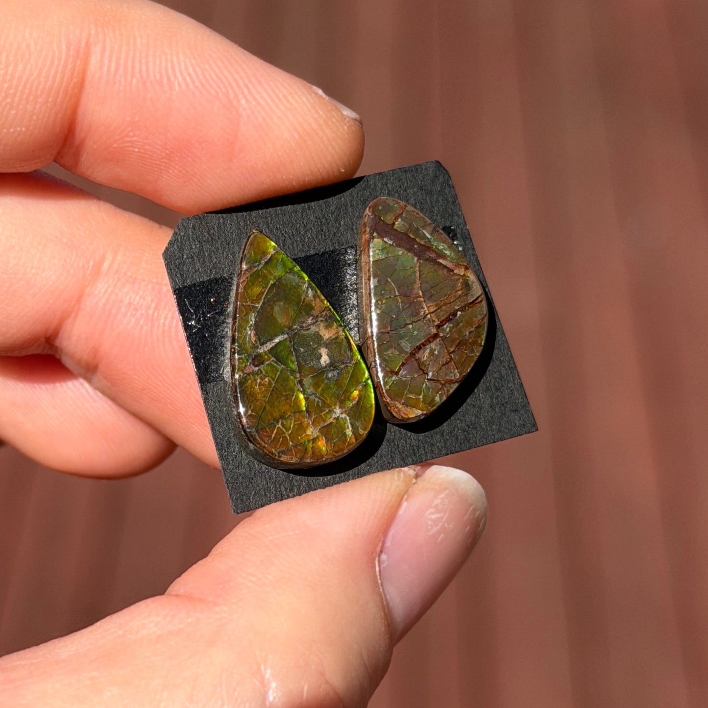 17-19mm Canadian Ammolite Cabochon Smooth - Choose your Stone (W6)