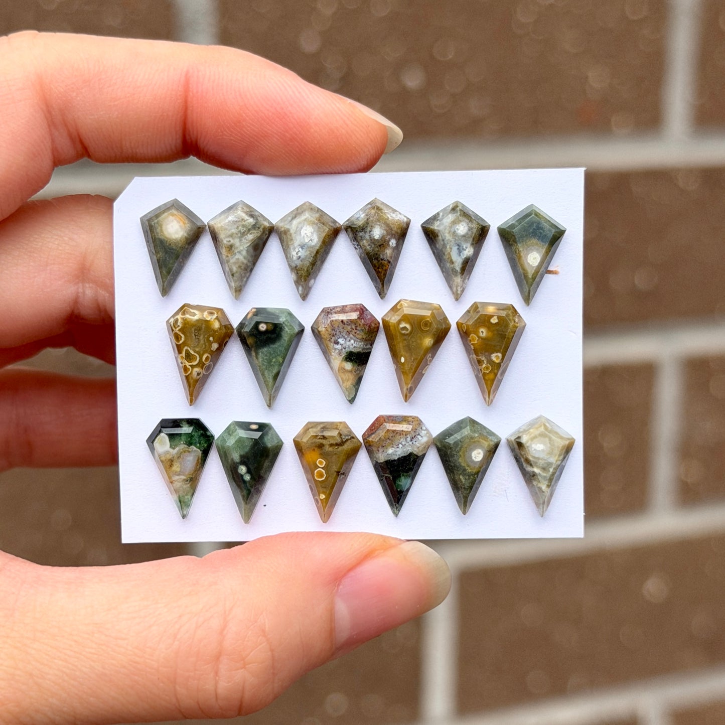 12x8mm Ocean Jasper Cabochon Kite Step cut - Choose your Stone (W11)