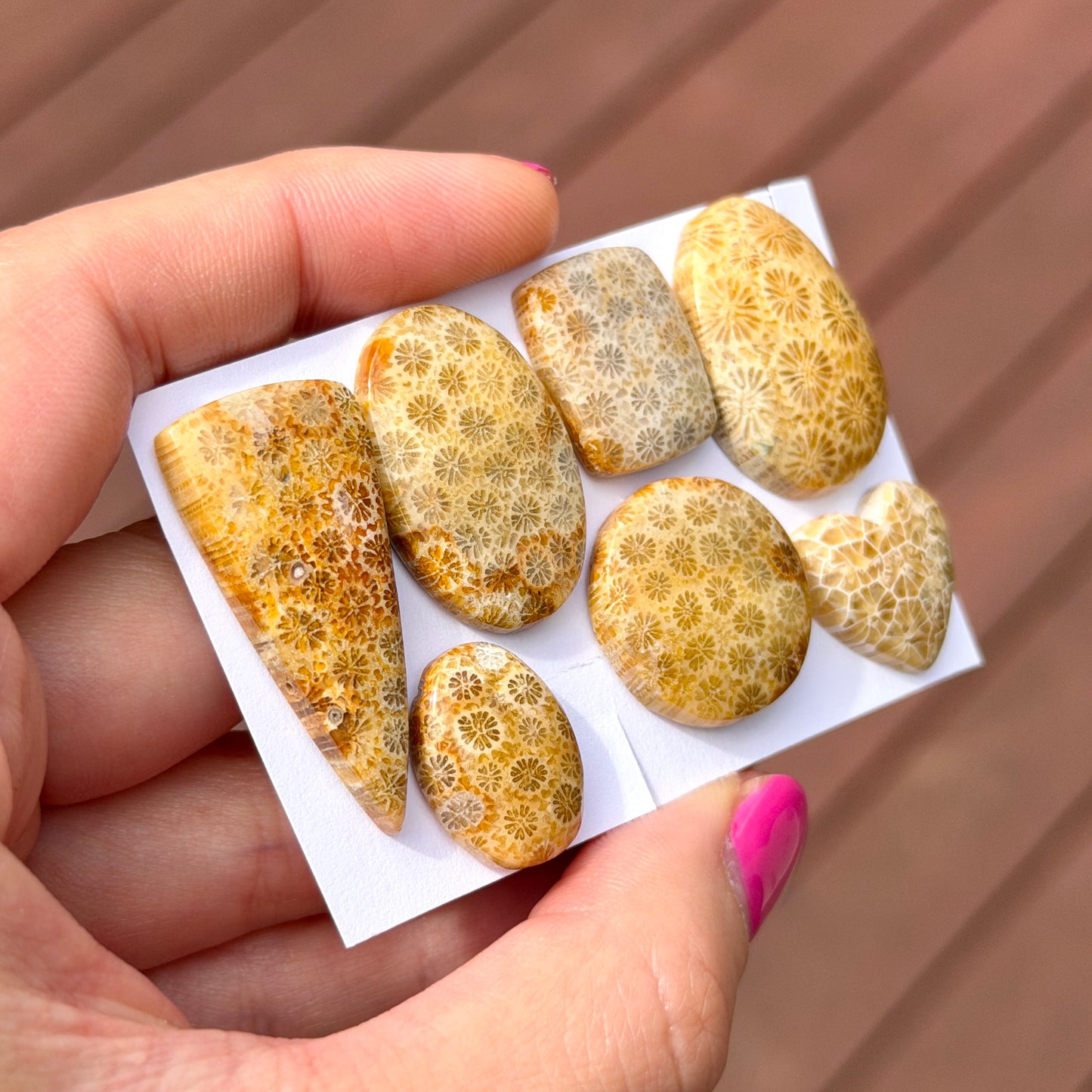 16-35mm Fossil Coral Cabochon Smooth - Choose your Stone (W13)