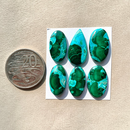 Malachite Chrysocolla Cabochon Smooth - Choose your Stone (W6)