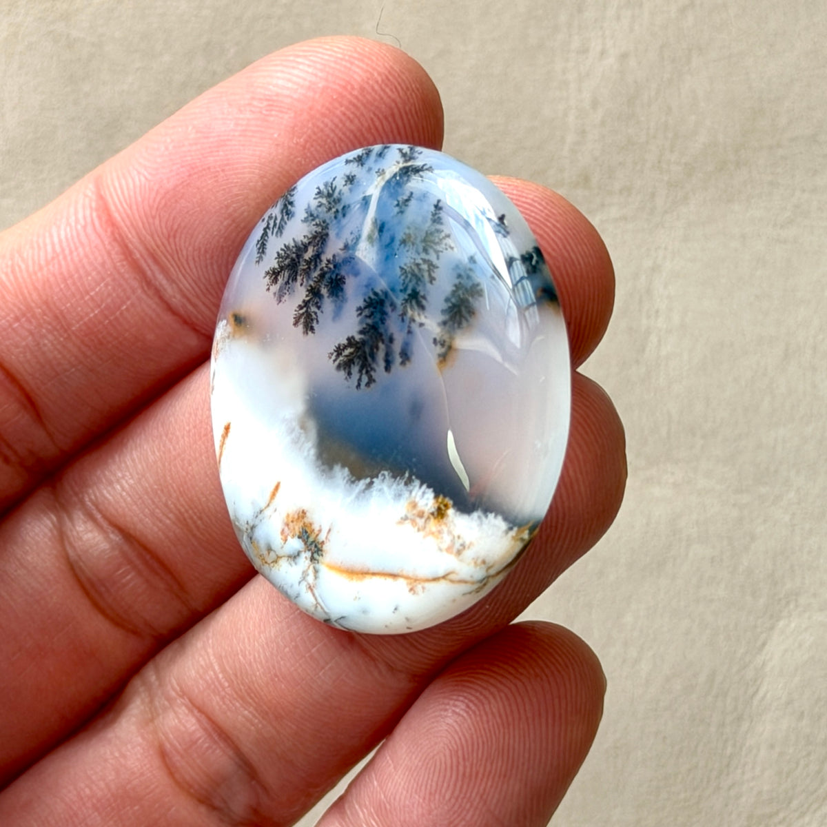 ‘Winter Canopy' Dendritic Opal Agate Round Cabochon - 33.5mm (W16)