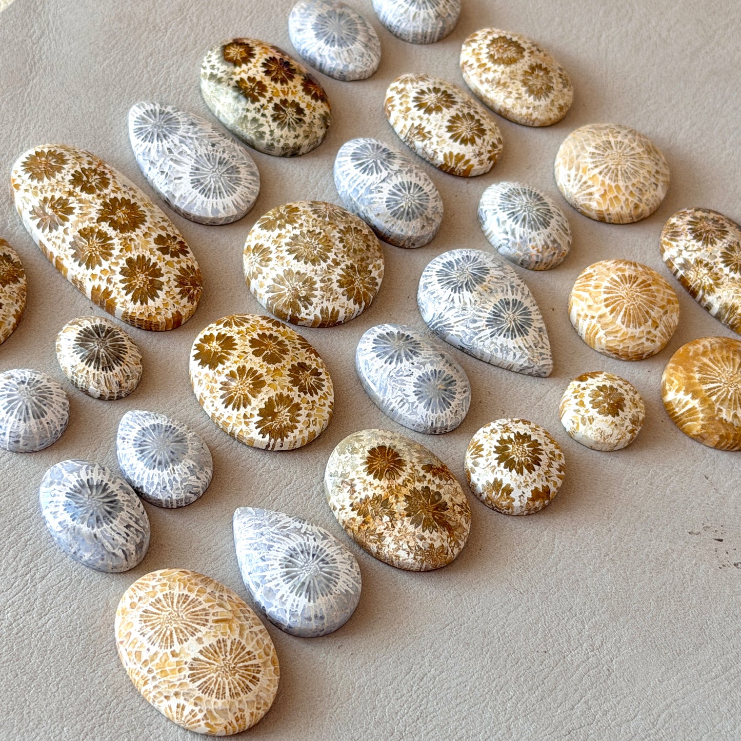 Beige/Cream/Grey Fossil Coral Cabochon Smooth - Choose your Stone (W12)
