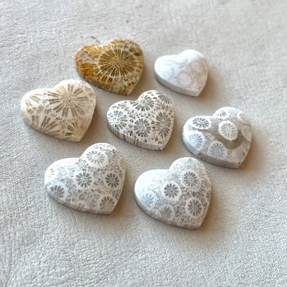 Fossilized (Fossil) Coral Heart Cabochon Smooth - Choose your Stone (W11)