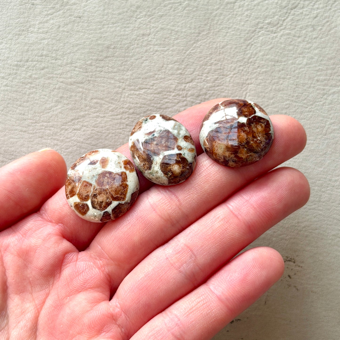 Garnet in Limestone Cabochon Smooth - Choose your Stone (W14)