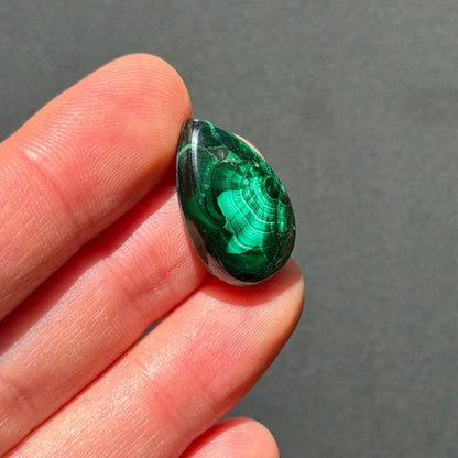 ‘Half Bloom' Chatoyant Velvet Malachite Teardrop Cabochon - 22mm x 14.5mm (W17)