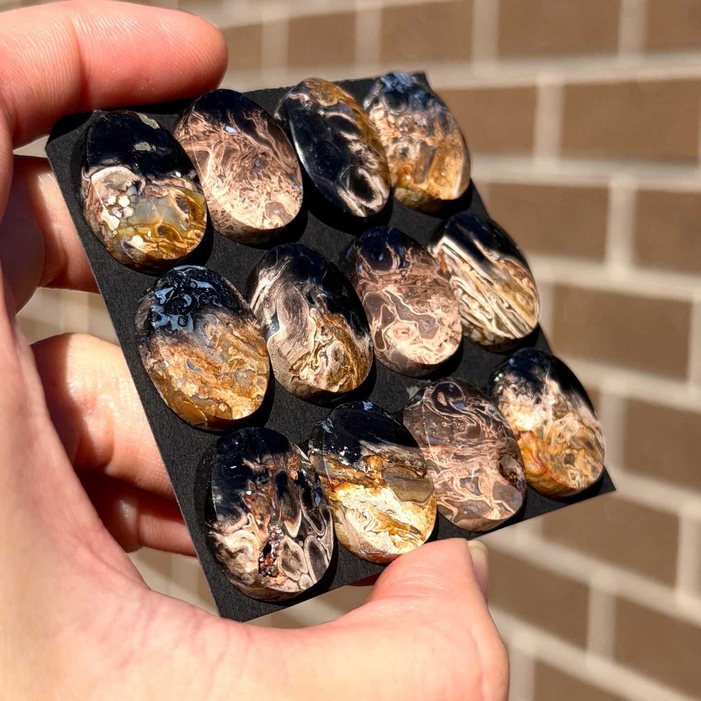 Fossilised/Petrified Black Palm Root Cabochon Oval Smooth (20x15mm) - Choose your Stone (W13)