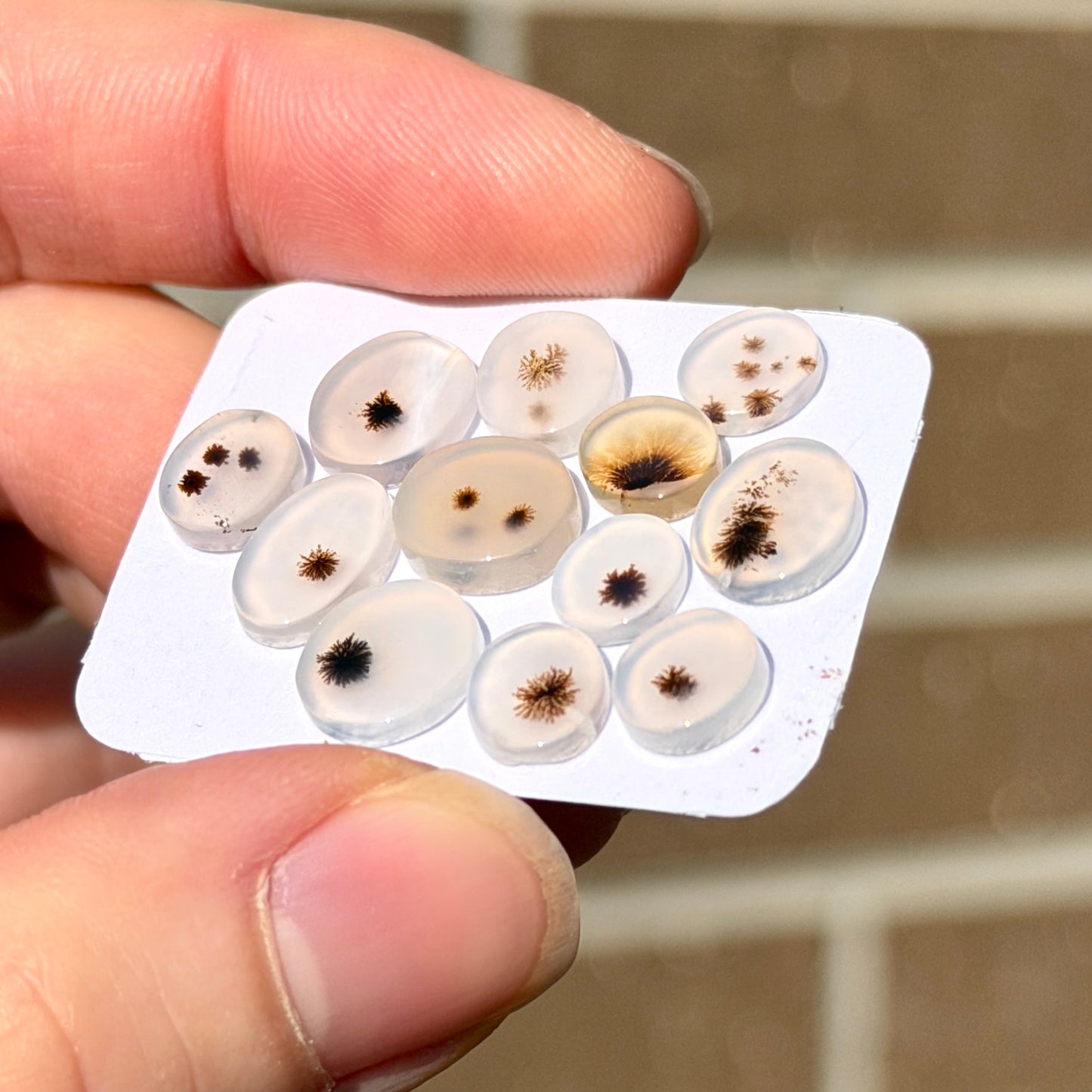 12pcs Scenic Agate round & oval Cabochons Smooth - 7-10mm (FULL LOT) (W16)