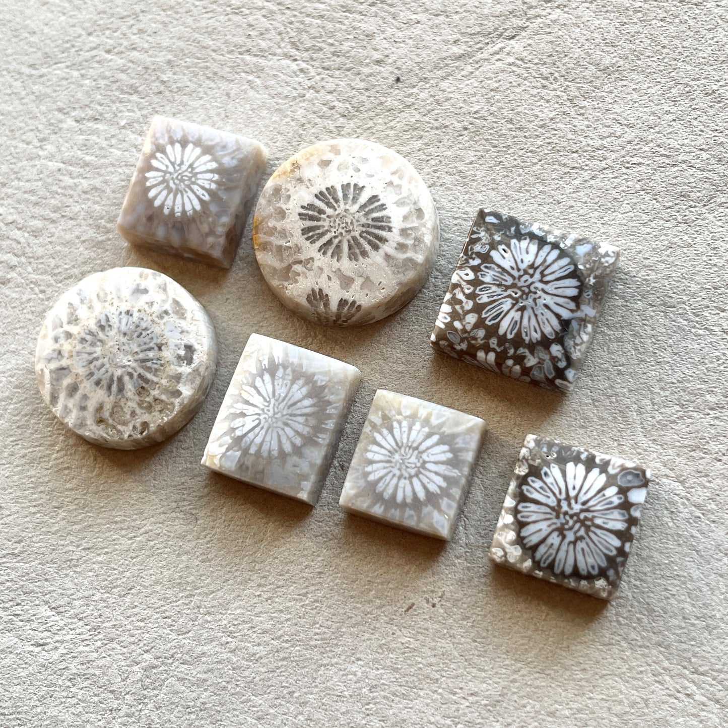 10-16mm Fossil Coral Round/Rectangle/Square Cabochon Smooth - Choose your Stone (W8)