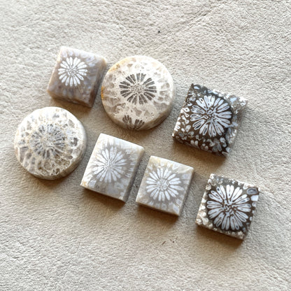 10-16mm Fossil Coral Round/Rectangle/Square Cabochon Smooth - Choose your Stone (W8)