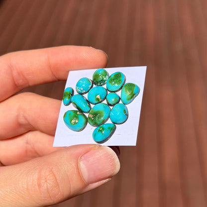 12pcs Sonoran Gold Turquoise Cabochons (Backed) Smooth - 6-12mm (FULL LOT) (W6)