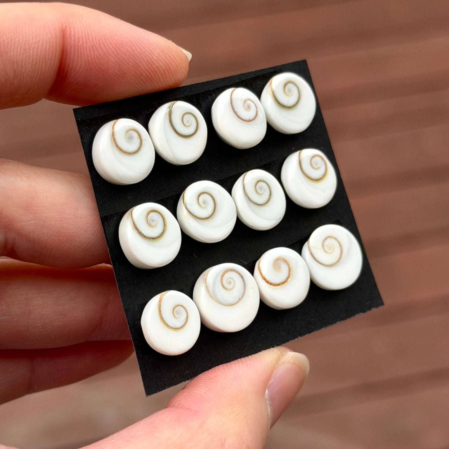 9-11mm Operculum Shell (Shiva's Eye) Round Cabochon Smooth - Choose your Stone (W16)