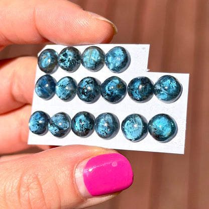 8mm Teal Moss Kyanite round Cabochon Smooth - Choose your Stone (W13)