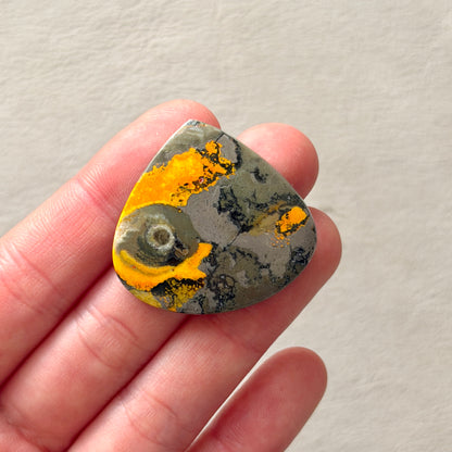 ‘Volcanic Eye’ Orbicular Bumblebee Jasper Teardrop Cabochon - 33mm x 34.5mm (W16)