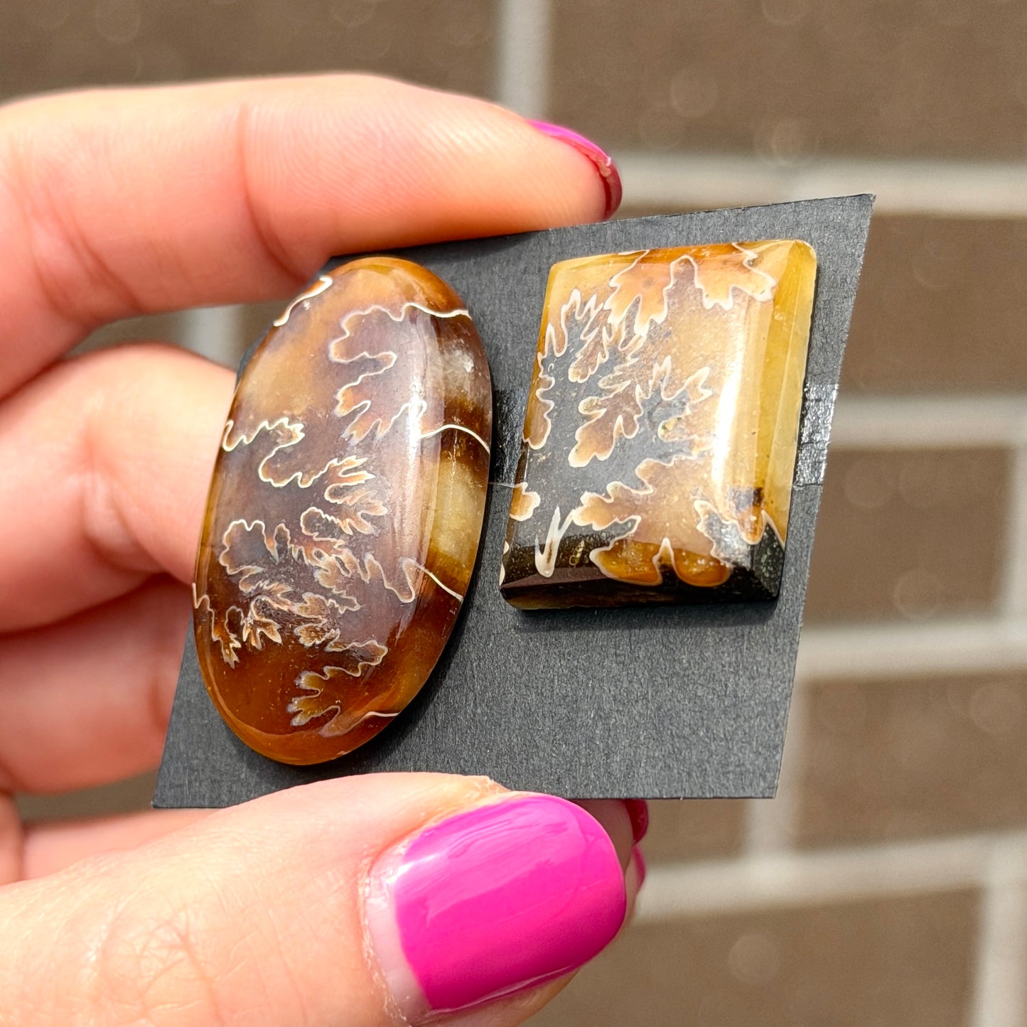 Suture-pattern Ammonite Fossil Cabochon - Choose your Stone (W13)