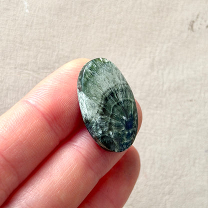 Seraphinite Oval Cabochon Smooth 25.5mm x 17mm (W8)