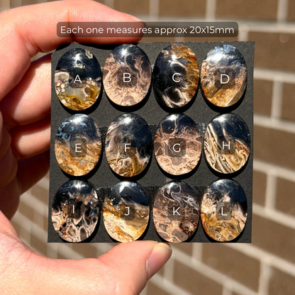 Fossilised/Petrified Black Palm Root Cabochon Oval Smooth (20x15mm) - Choose your Stone (W13)