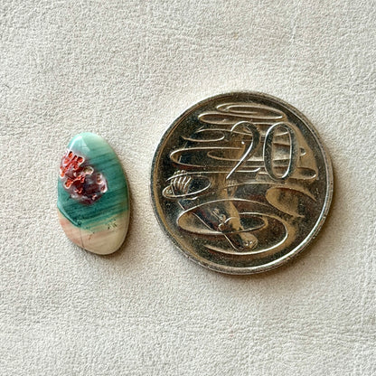 ‘Shark Bay, Western Australia' Imperial Jasper Cabochon - 19mm x 11mm (W3)