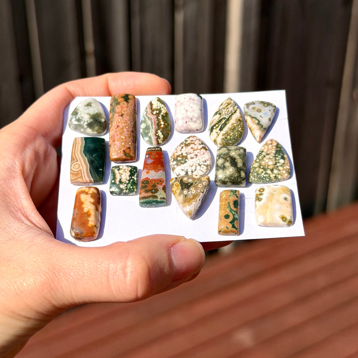11-30mm Ocean Jasper Cabochon Smooth (Rough Backs) - Choose your Stone (W3)