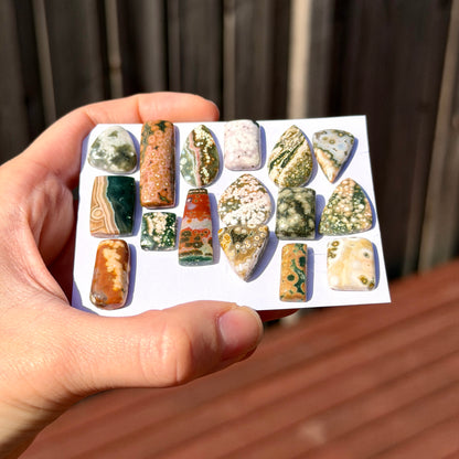 11-30mm Ocean Jasper Cabochon Smooth (Rough Backs) - Choose your Stone (W3)
