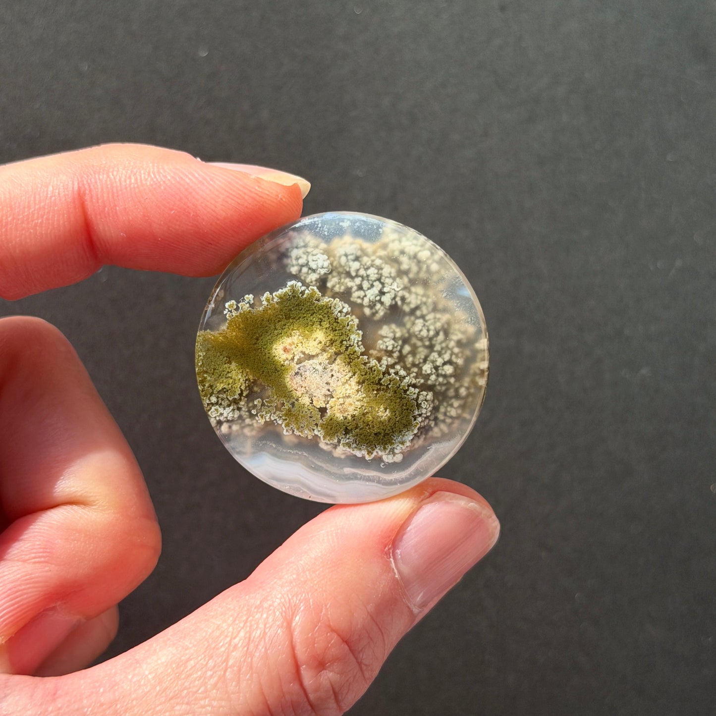 27-40mm Black Banded Moss Agate Round Cabochon Smooth - Choose your Stone (W15)