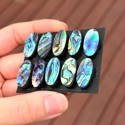 20x10mm Abalone Paua Shell (Iridescent) Oval Cabochon Smooth - Choose your Stone (W6)