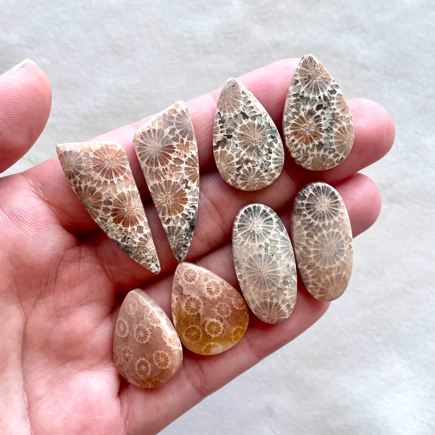 Fossil Coral Cabochon Pairs - Choose your Pair (W4)