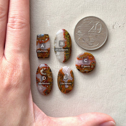 17-28mm Red Moroccan Seam Agate Cabochon Smooth - Choose your Stone (W5-EY)