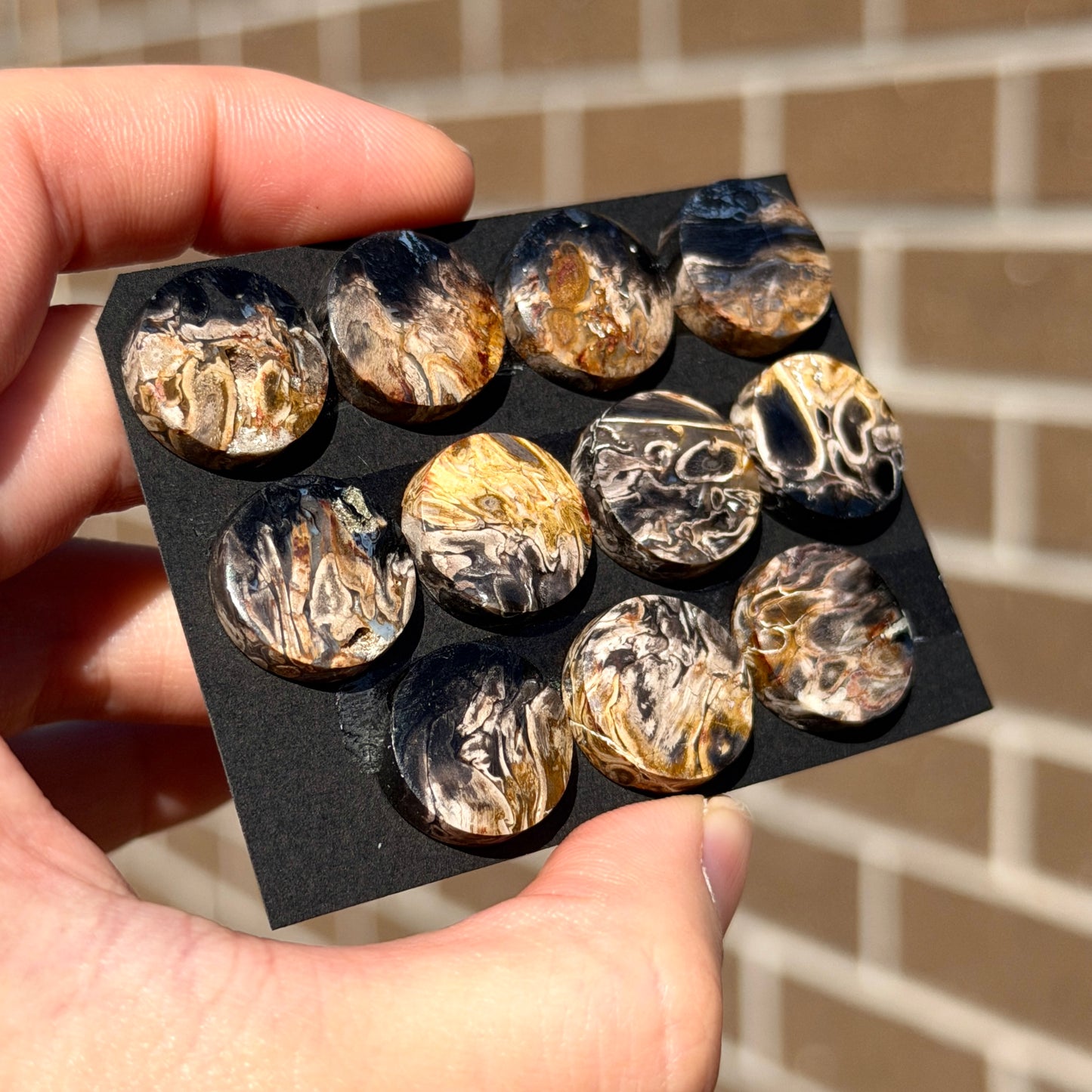 Fossilised/Petrified Black Palm Root Cabochon Round Smooth (15mm) - Choose your Stone (W13)