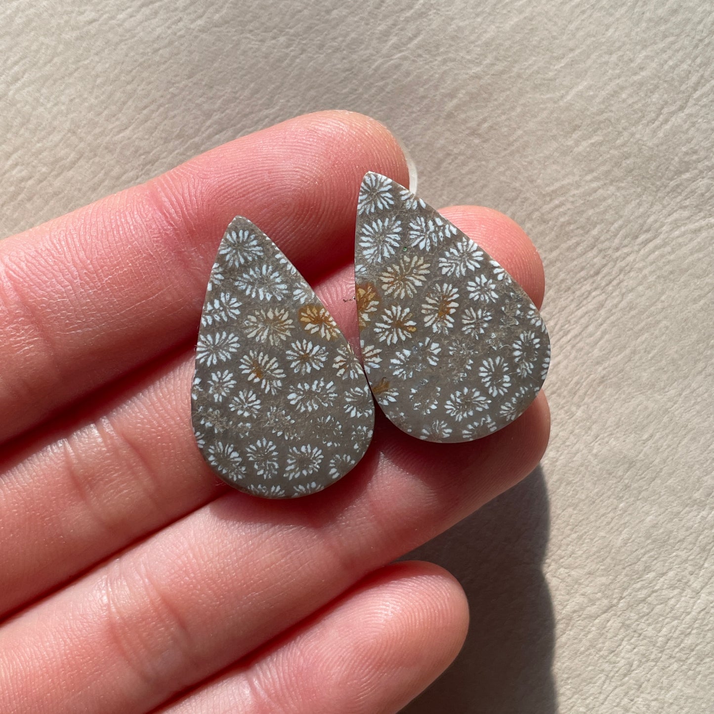 Fossil Coral Teardrop Cabochon Pair (A)