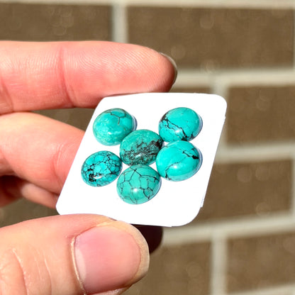 6pcs Green Hubei Turquoise round Cabochons Smooth - 9-10mm (FULL LOT) (W16)