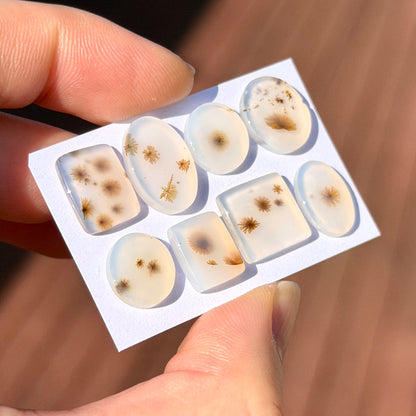 'Daisy' Scenic Agate Cabochon Smooth - Choose your Stone (W3)