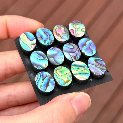 14x10mm Abalone Paua Shell (Iridescent) Oval Cabochon Smooth - Choose your Stone (W6)