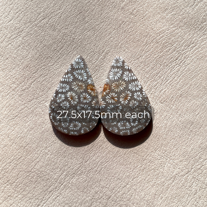 Fossil Coral Teardrop Cabochon Pair (A)