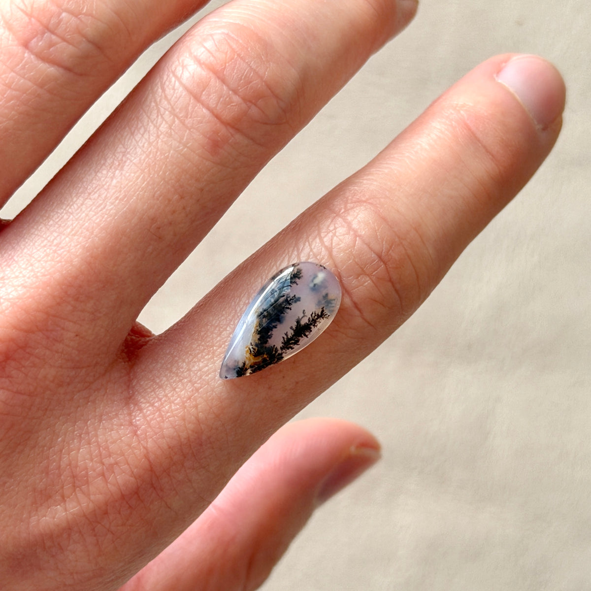 ‘Rooted Together' Dendritic Opal Agate Teardrop Cabochon - 17.5mm x 8.5mm (W3)