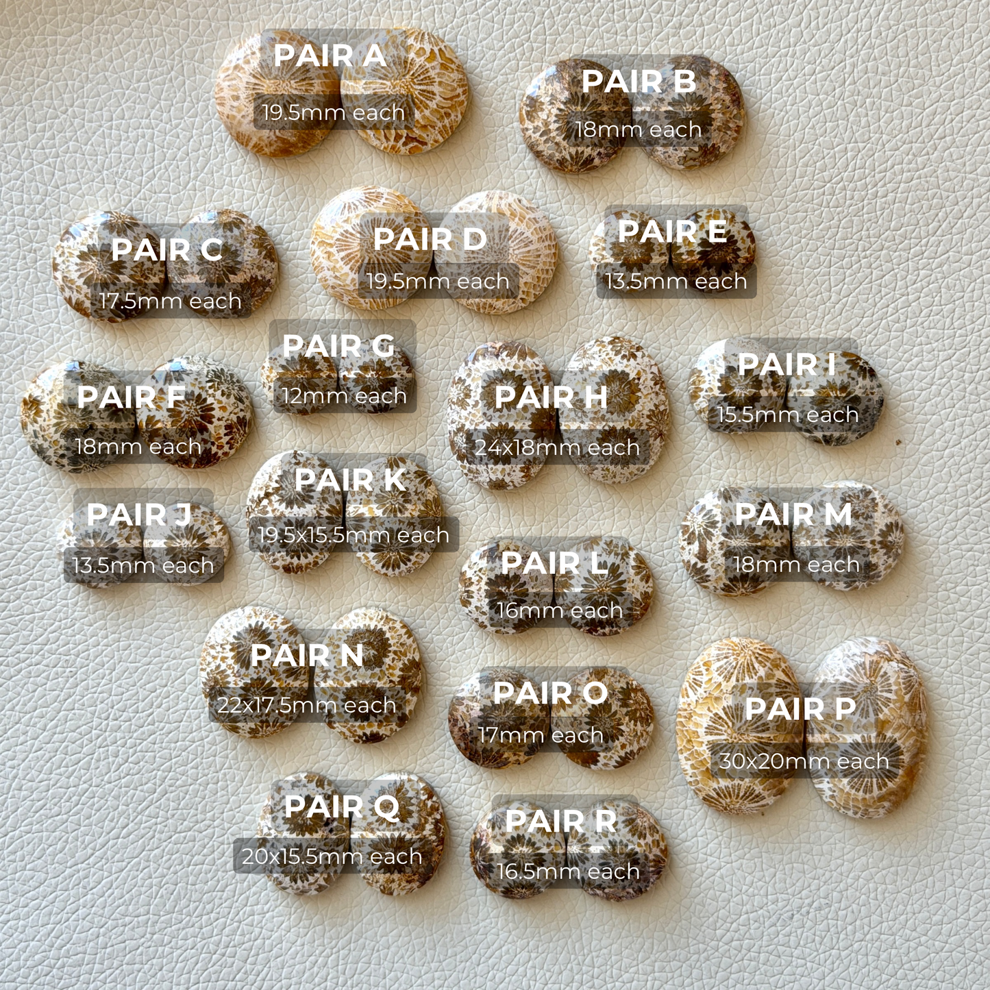Cream/Beige Fossilised Coral Cabochon Pairs (Round & Oval) - Choose your Pair (W1)