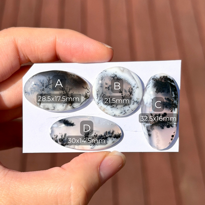 ‘Scenic’ Dendritic Opal Agate Cabochon Smooth - Choose your Stone (W8)