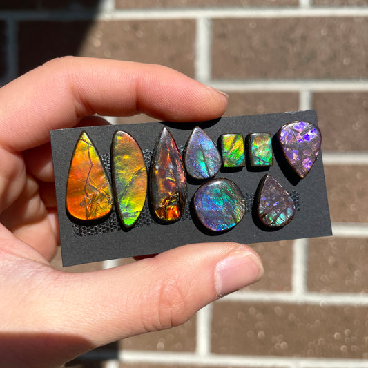 Canadian Ammolite Cabochon Smooth - Choose your Stone (B) W4