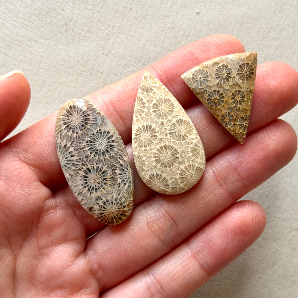 Fossilised Coral Cabochon Smooth - Choose your Stone (W17)