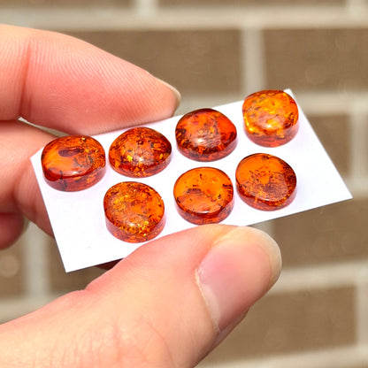 9-11mm Baltic Amber Round & Oval Cabochon Smooth - Choose your Stone (W9)