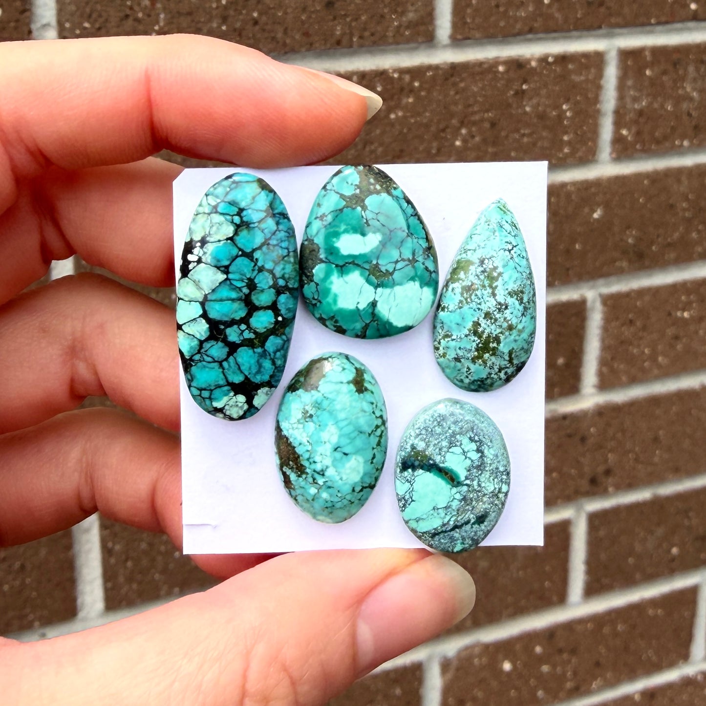 18-28mm Tibetan Turquoise Cabochon Smooth  - Choose your Stone (W11)