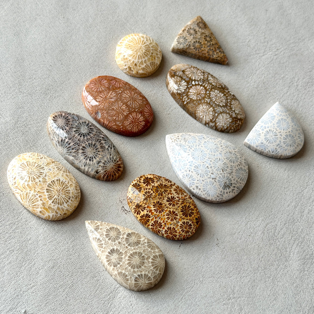 Fossilised Coral Cabochon Smooth - Choose your Stone (W17)