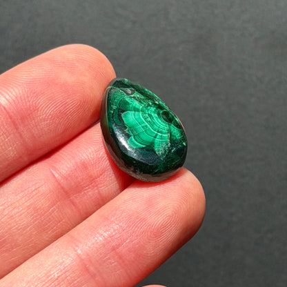 ‘Half Bloom' Chatoyant Velvet Malachite Teardrop Cabochon - 22mm x 14.5mm (W17)